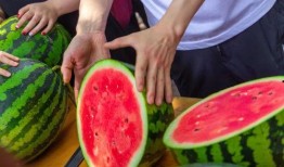 今日吃瓜51,揭秘娱乐圈最新热点事件